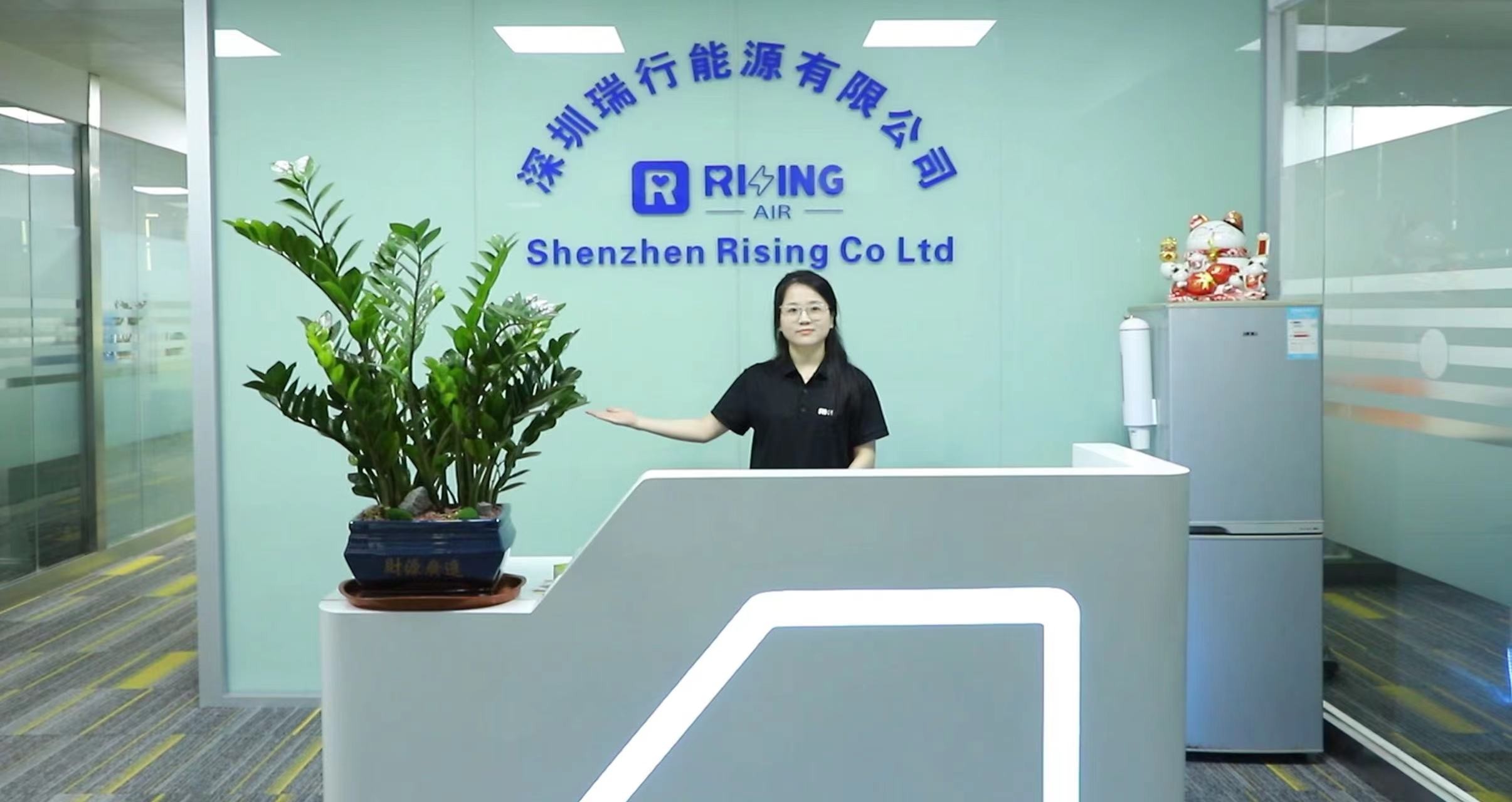 Chiny Shenzhen Rising Co., Ltd. profil firmy